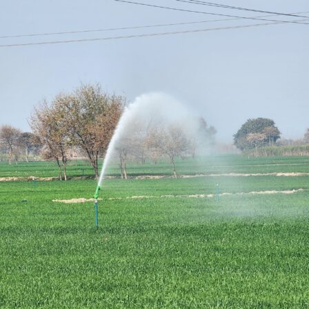 Raingun ducar atom 40 irrigate the wheat field 28 meter radius of gun operated through 7.5 hp monoblock pump at Amir shahzad cheema